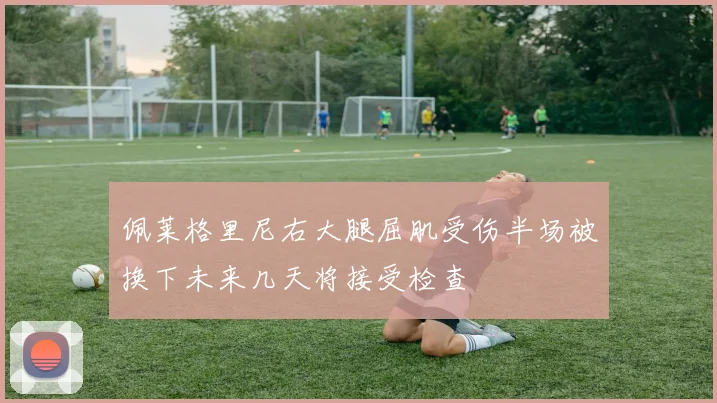 佩莱格里尼右大腿屈肌受伤半场被换下未来几天将接受检查