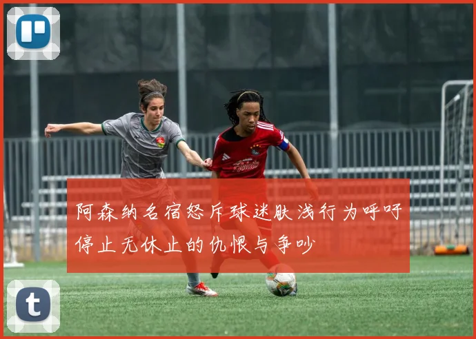 阿森纳名宿怒斥球迷肤浅行为呼吁停止无休止的仇恨与争吵