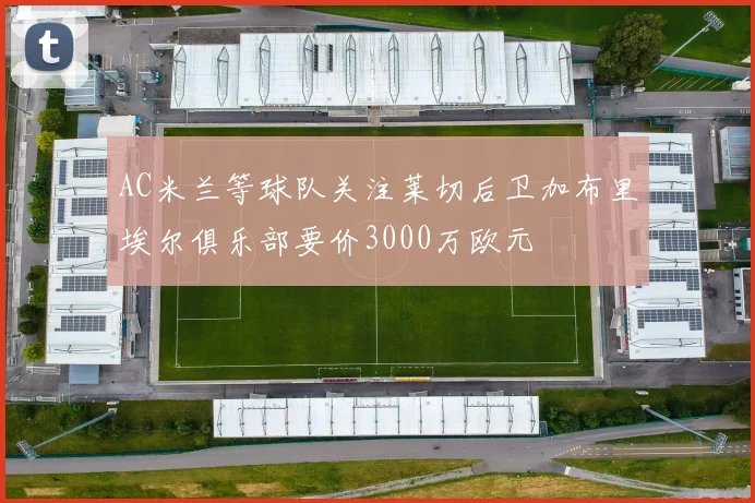 AC米兰等球队关注莱切后卫加布里埃尔俱乐部要价3000万欧元