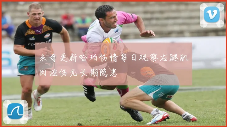 米奇更新哈珀伤情每日观察右腿肌肉挫伤无长期隐患