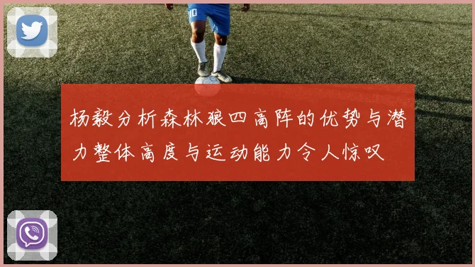 杨毅分析森林狼四高阵的优势与潜力整体高度与运动能力令人惊叹